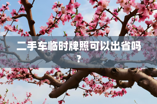 二手车临时牌照可以出省吗?