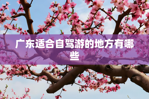广东适合自驾游的地方有哪些