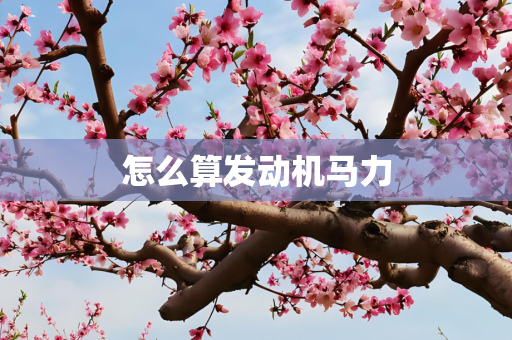 怎么算发动机马力