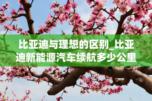 比亚迪与理想的区别_比亚迪新能源汽车续航多少公里