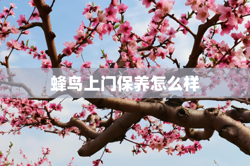 蜂鸟上门保养怎么样