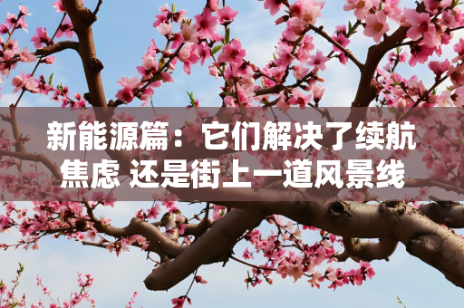 新能源篇：它们解决了续航焦虑 还是街上一道风景线