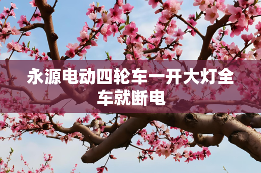 永源电动四轮车一开大灯全车就断电