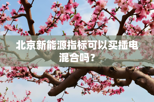 北京新能源指标可以买插电混合吗？