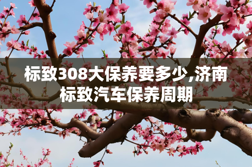 标致308大保养要多少,济南标致汽车保养周期