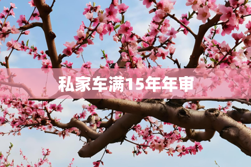 私家车满15年年审