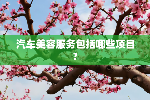 汽车美容服务包括哪些项目?