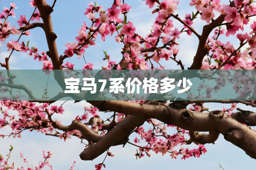 宝马7系价格多少