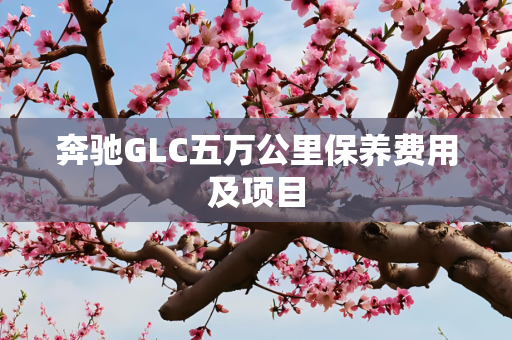 奔驰GLC五万公里保养费用及项目