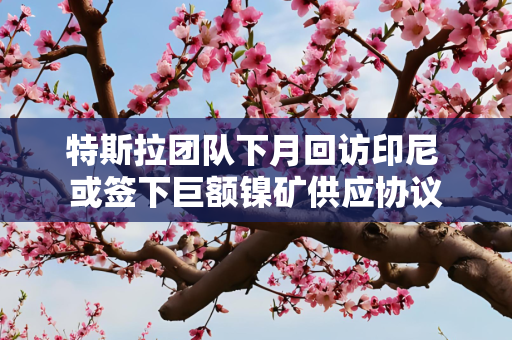 特斯拉团队下月回访印尼 或签下巨额镍矿供应协议