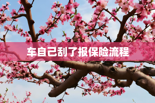 车自己刮了报保险流程