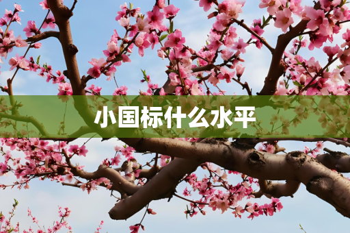 小国标什么水平