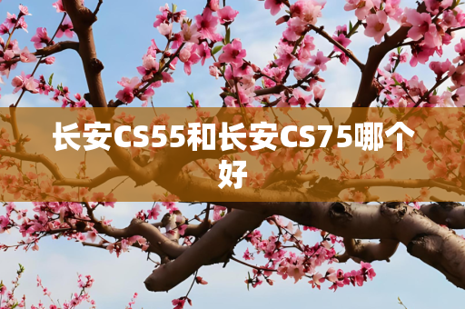 长安CS55和长安CS75哪个好