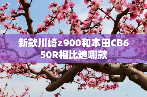 新款川崎z900和本田CB650R相比选哪款