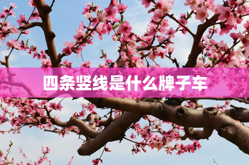 四条竖线是什么牌子车