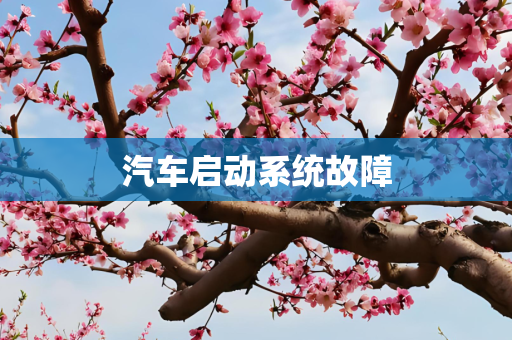 汽车启动系统故障