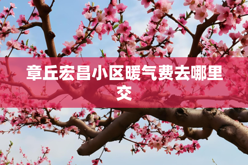 章丘宏昌小区暖气费去哪里交