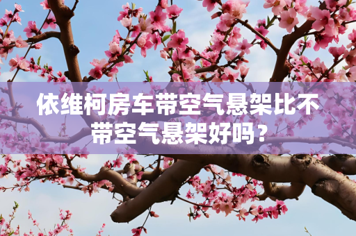 依维柯房车带空气悬架比不带空气悬架好吗？