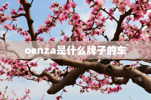 oenza是什么牌子的车