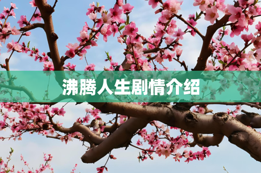 沸腾人生剧情介绍