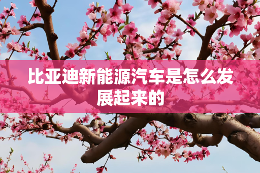 比亚迪新能源汽车是怎么发展起来的