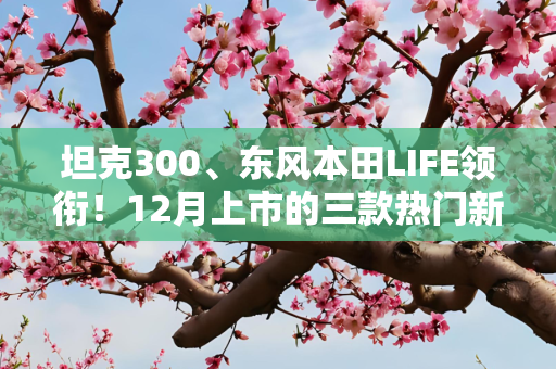 坦克300、东风本田LIFE领衔！12月上市的三款热门新车点评