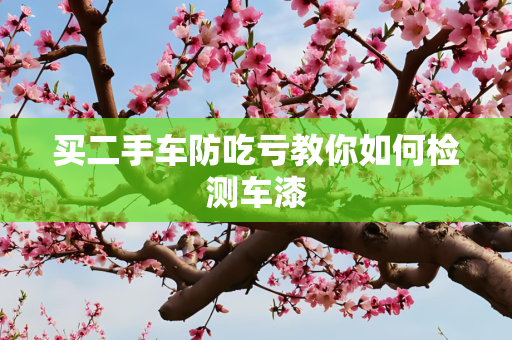 信息 第24页