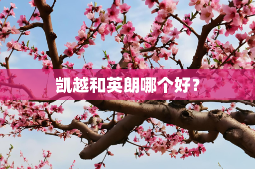 凯越和英朗哪个好？