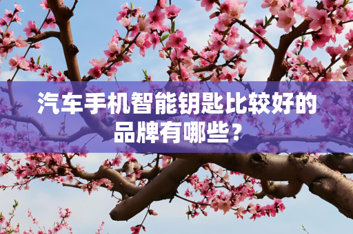 汽车手机智能钥匙比较好的品牌有哪些？