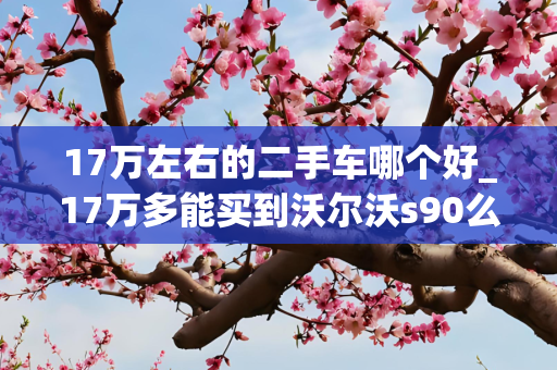 17万左右的二手车哪个好_17万多能买到沃尔沃s90么