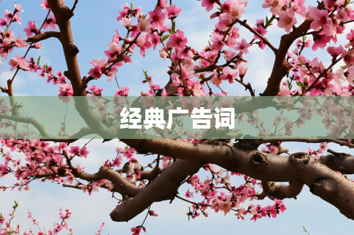 经典广告词