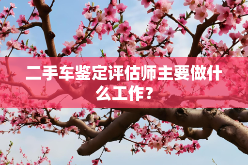 二手车鉴定评估师主要做什么工作？