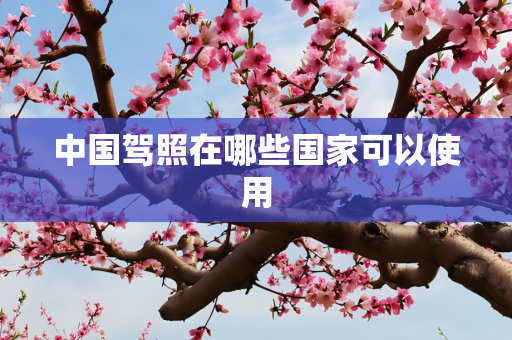 中国驾照在哪些国家可以使用
