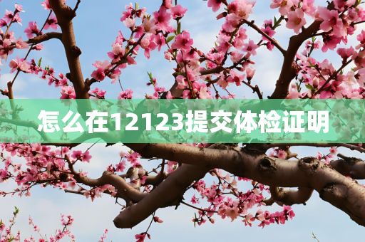 怎么在12123提交体检证明