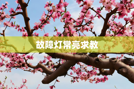 故障灯常亮求教