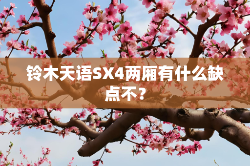 铃木天语SX4两厢有什么缺点不？