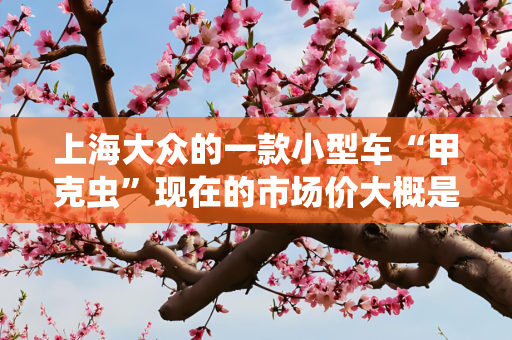 上海大众的一款小型车“甲克虫”现在的市场价大概是多少