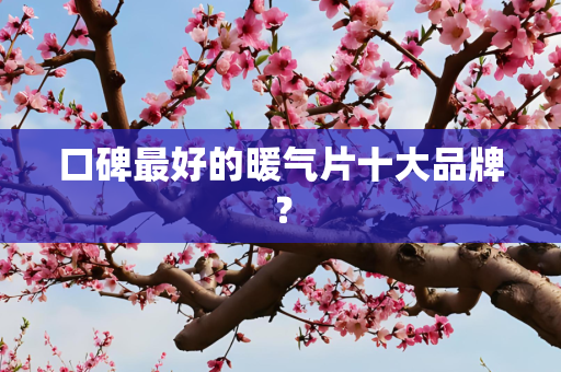 口碑最好的暖气片十大品牌？