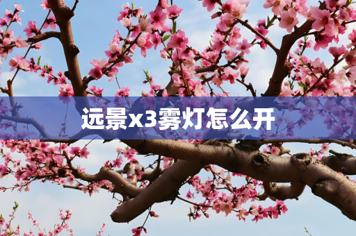 远景x3雾灯怎么开