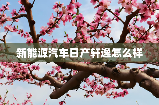 新能源汽车日产轩逸怎么样