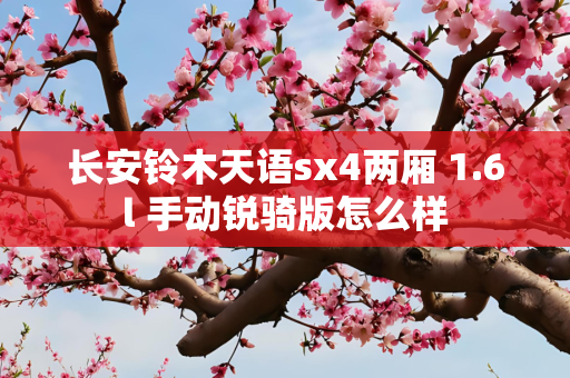 长安铃木天语sx4两厢 1.6l 手动锐骑版怎么样
