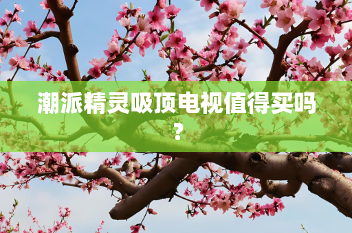 潮派精灵吸顶电视值得买吗？