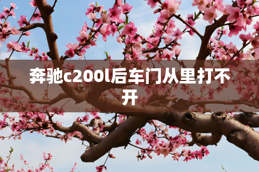 奔驰c200l后车门从里打不开