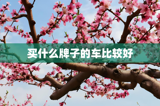 买什么牌子的车比较好