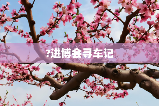 ?进博会寻车记