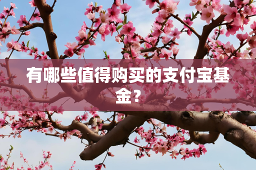 有哪些值得购买的支付宝基金？