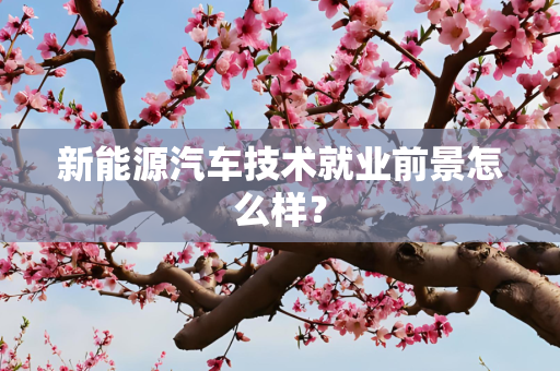新能源汽车技术就业前景怎么样？