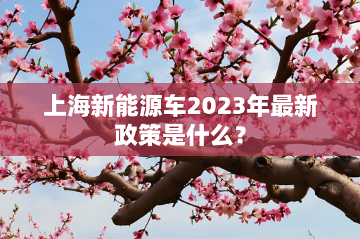 生活 第23页