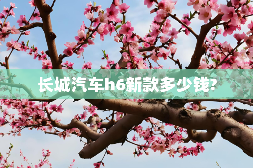 长城汽车h6新款多少钱?