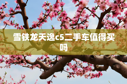 雪铁龙天逸c5二手车值得买吗